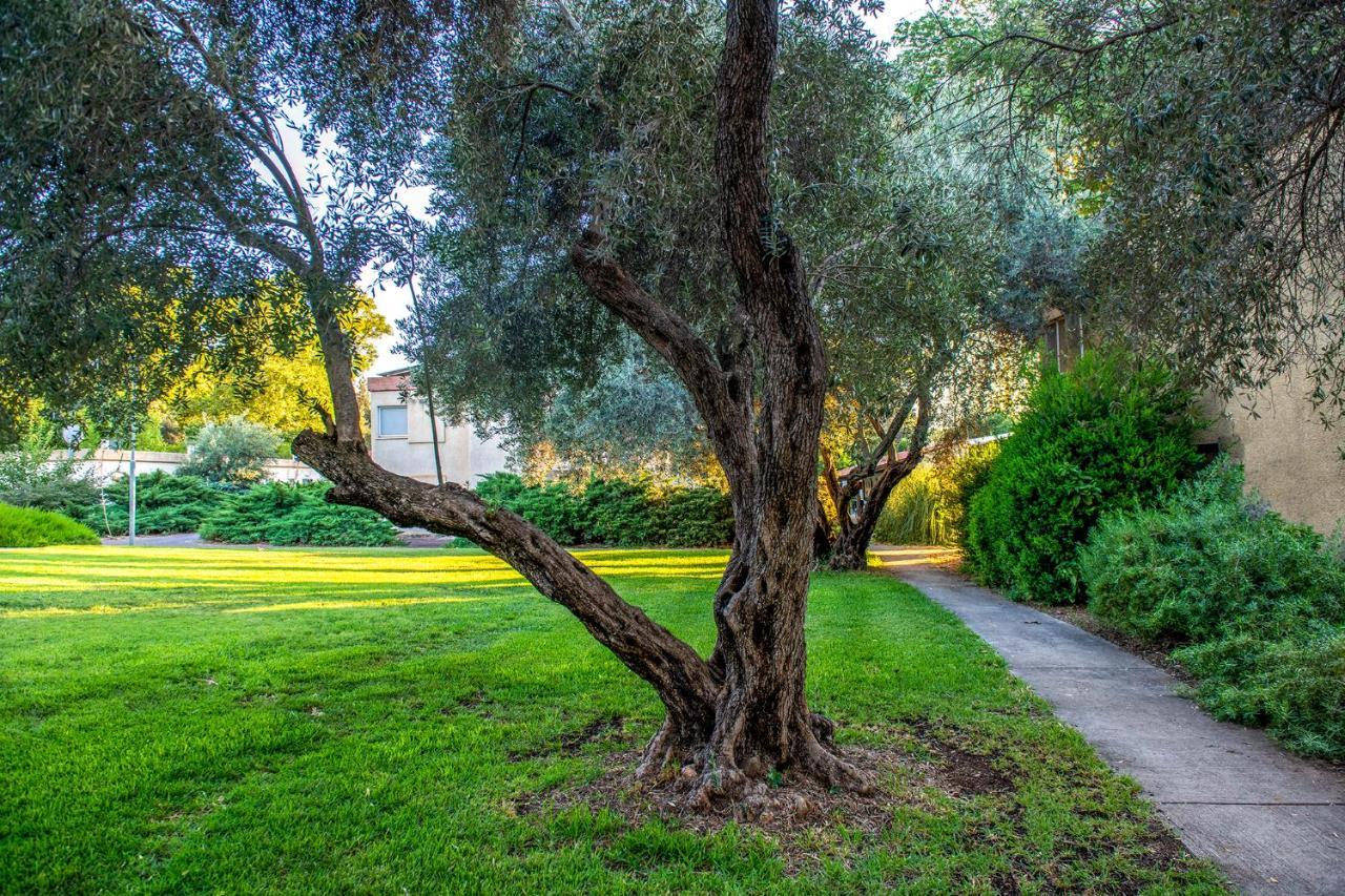 כפר הנופש קיבוץ גדות Kibbutz Gadot Galilean Resort Dış mekan fotoğraf