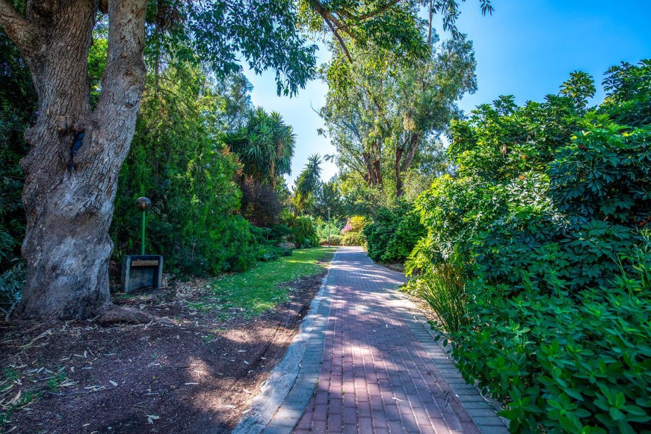 כפר הנופש קיבוץ גדות Kibbutz Gadot Galilean Resort Dış mekan fotoğraf